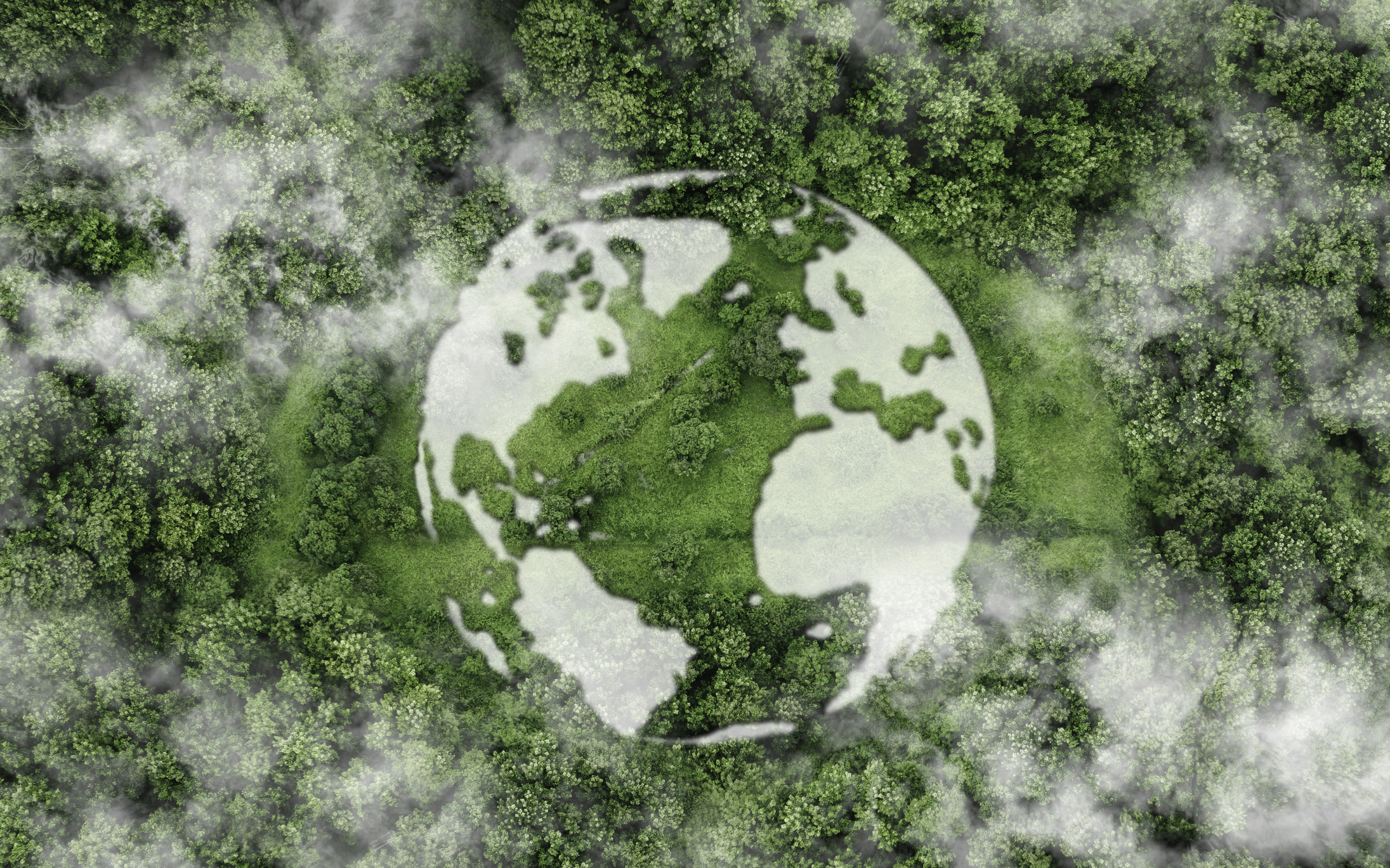 Top view green forest with globe earth. Sustainable Environment concept. Carbon reduction emissions target. Green energy is eco-friendly. Save Earth or World Earth Day Concept. Environmental Care